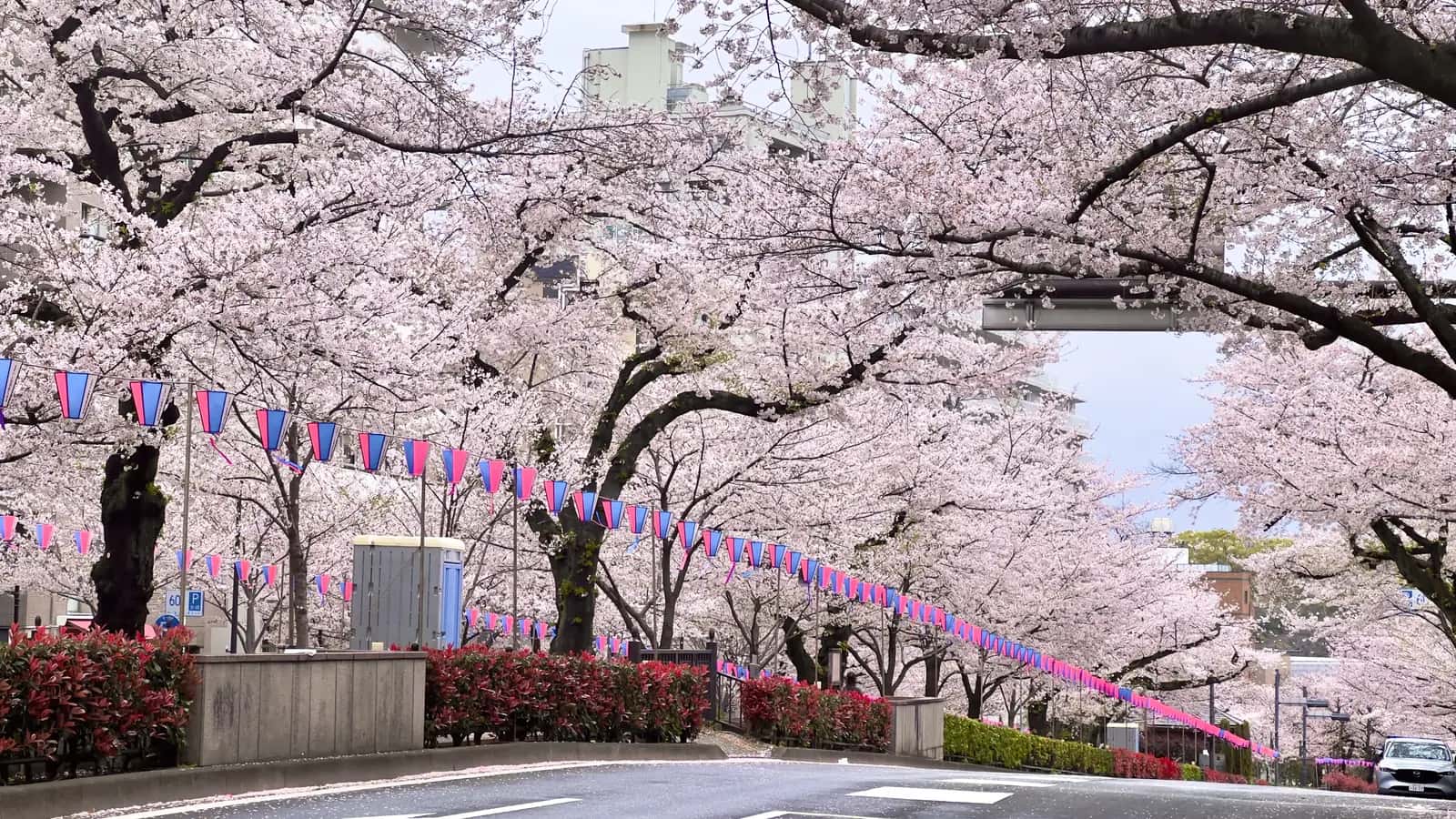 文京区の住宅街のイメージ(狭小地・旗竿地)